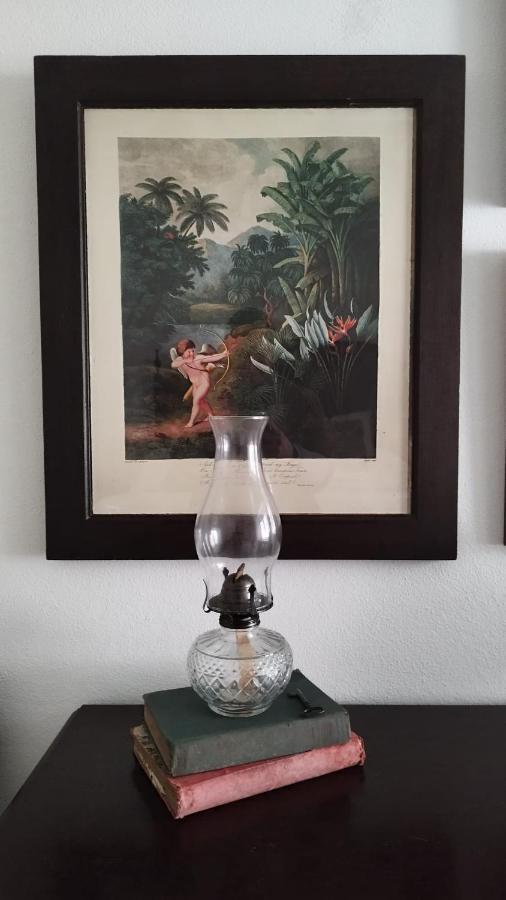 Casa Da Avo Genoveva Guest House Tomar Eksteriør bilde