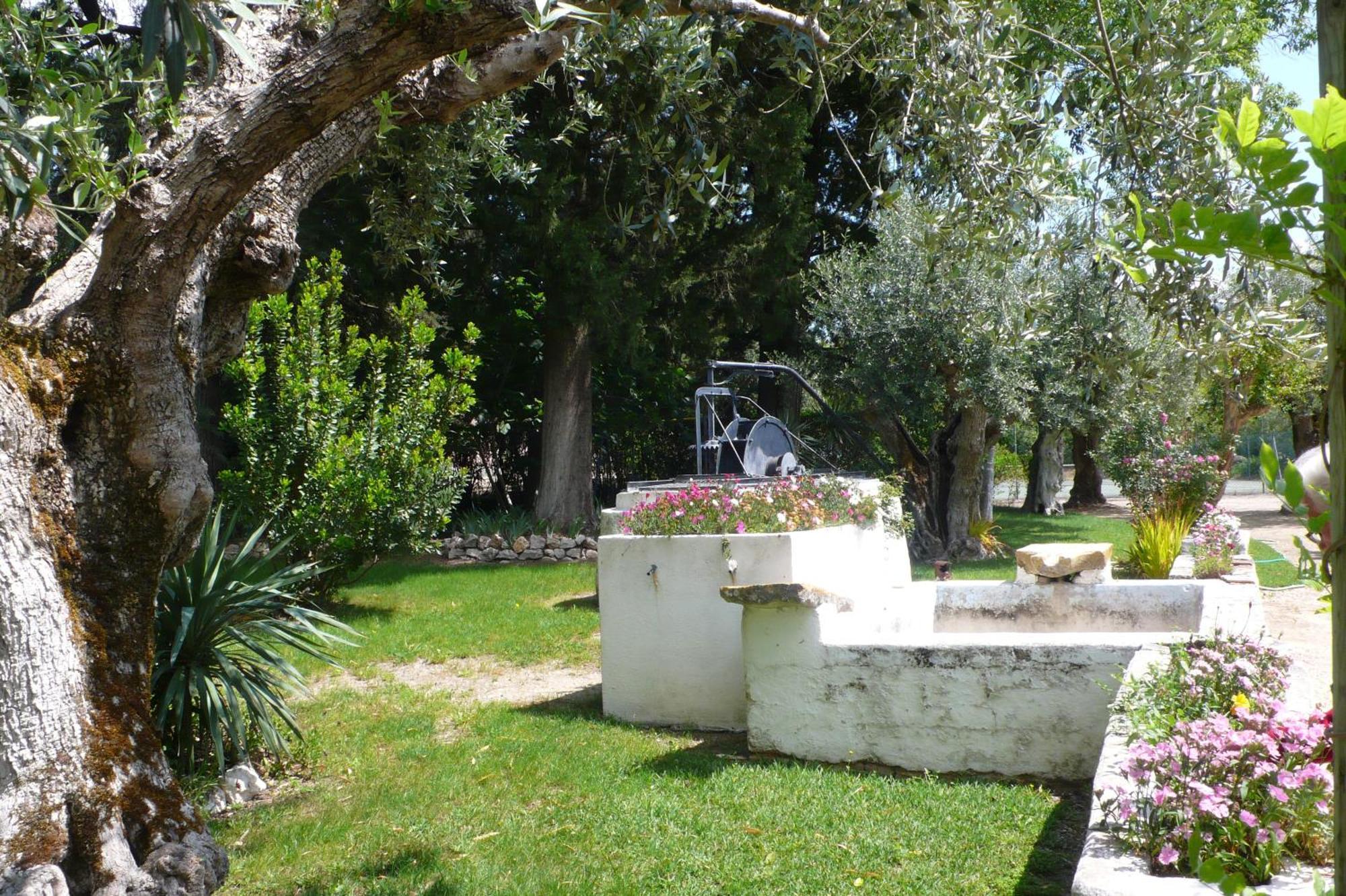 Casa Da Avo Genoveva Guest House Tomar Eksteriør bilde