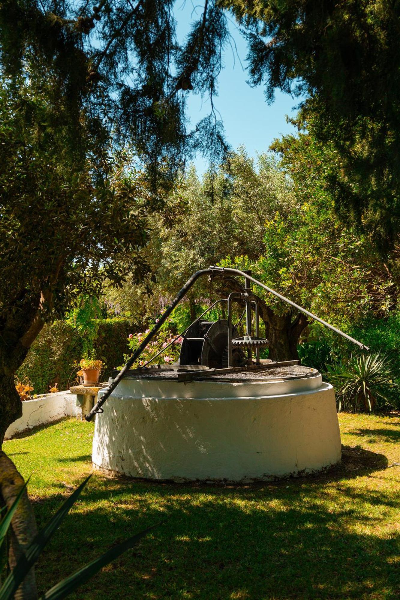 Casa Da Avo Genoveva Guest House Tomar Eksteriør bilde