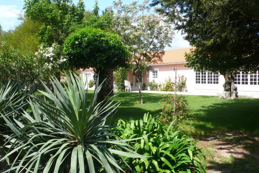 Casa Da Avo Genoveva Guest House Tomar Eksteriør bilde